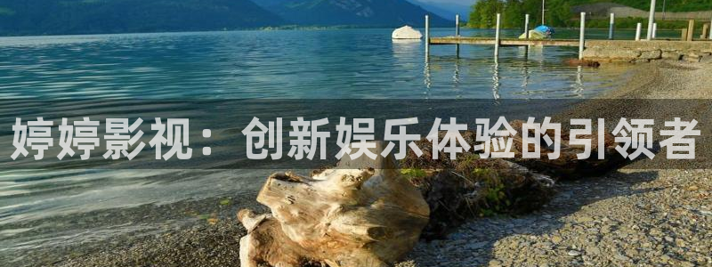 请回答1988高清免费观看全集：婷婷影视：创新娱乐体验的引领者