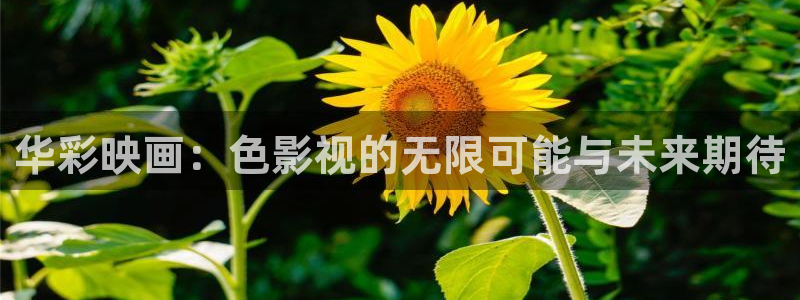 980影院电视剧免费观看完整版：华彩映画：色影视的无限可能与未来期待