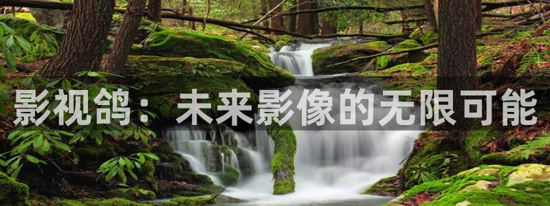 98影院免费观看：影视鸽：未来影像的无限可能