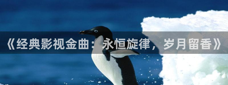 798影院在线观看：《经典影视金曲：永恒旋律，岁月留香》
